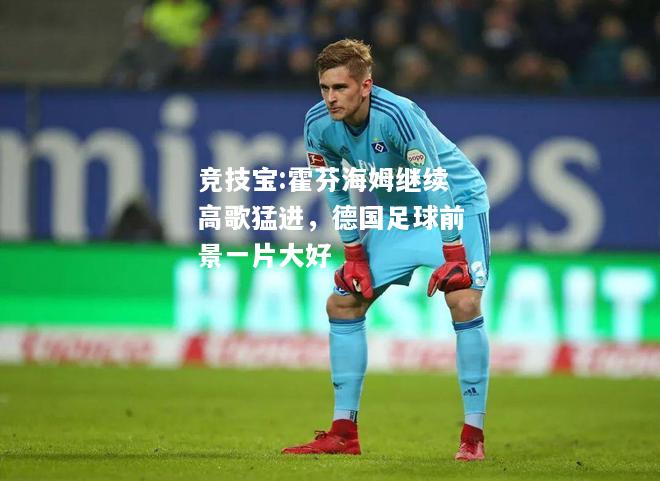 竞技宝:霍芬海姆继续高歌猛进，德国足球前景一片大好