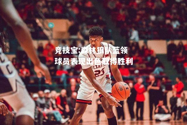 竞技宝:森林狼队蓝领球员表现出色取得胜利