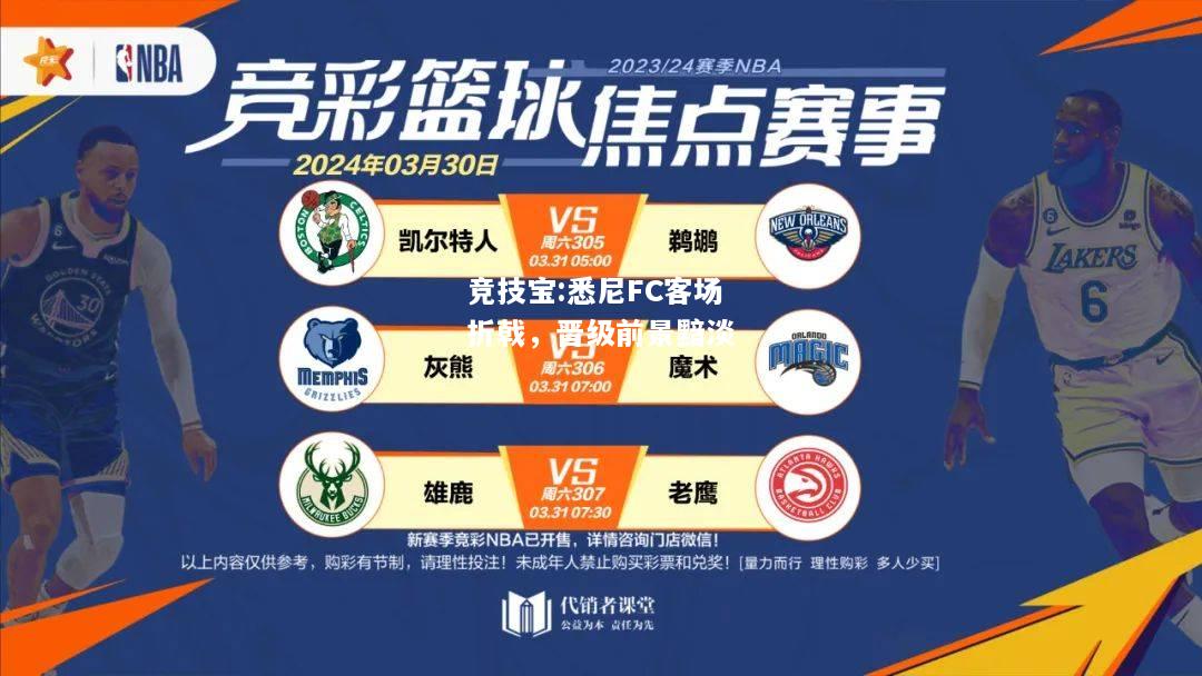 竞技宝:悉尼FC客场折戟，晋级前景黯淡