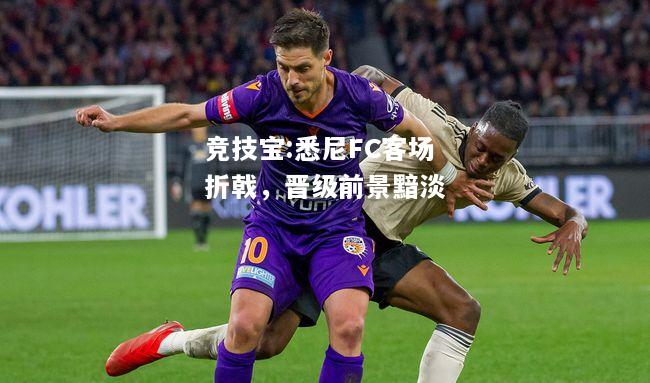 竞技宝:悉尼FC客场折戟，晋级前景黯淡