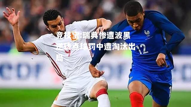 竞技宝:瑞典惨遭波黑逆转点球罚中遭淘汰出局