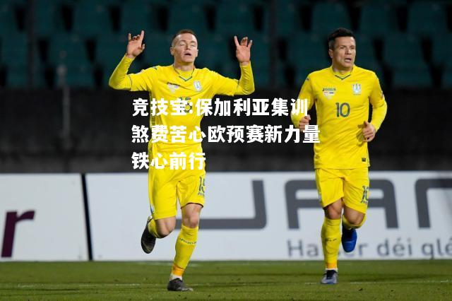 竞技宝:保加利亚集训煞费苦心欧预赛新力量铁心前行