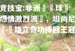 竞技宝:非洲盃籃球賽燃情激烈波蕩，坦尚尼亞隊雄立奇功捧回王冠