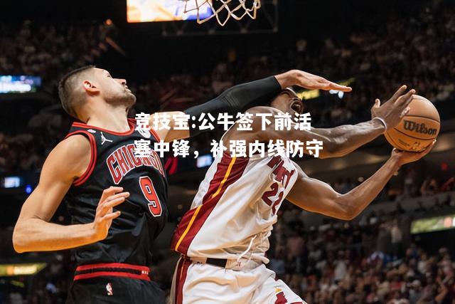 竞技宝:公牛签下前活塞中锋，补强内线防守
