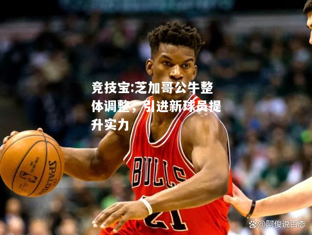 竞技宝:芝加哥公牛整体调整，引进新球员提升实力