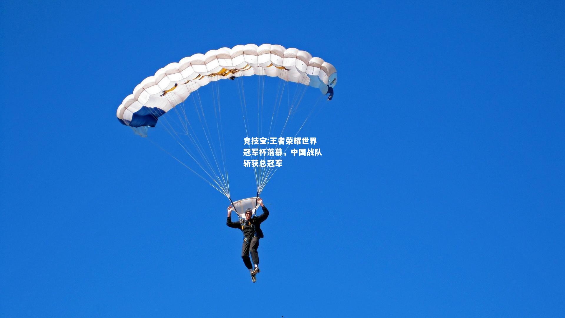 竞技宝:王者荣耀世界冠军杯落幕，中国战队斩获总冠军